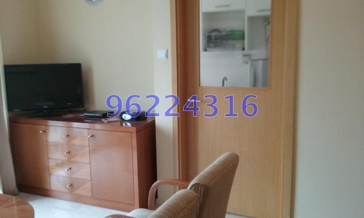 Palm Loft (D15), Apartment #162305072